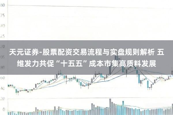 天元证券-股票配资交易流程与实盘规则解析 五维发力共促“十五五”成本市集高质料发展